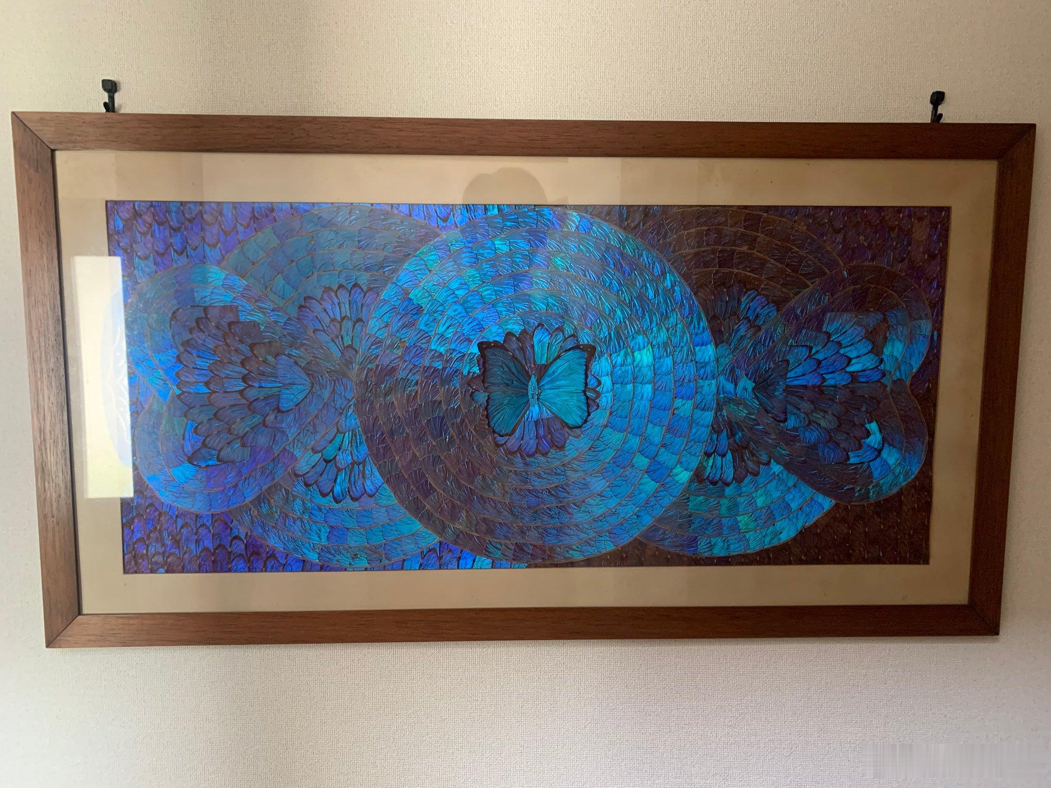 推主祖父当年驻留巴西的遗物，用闪蝶翅膀拼贴的画，美到失语，放现在绝对做不出来了。