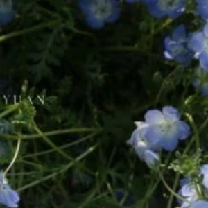 每日一善 🌷每日一善 🌷阳光信用 以热爱祖国为荣、以危害祖国为耻。以服务人民