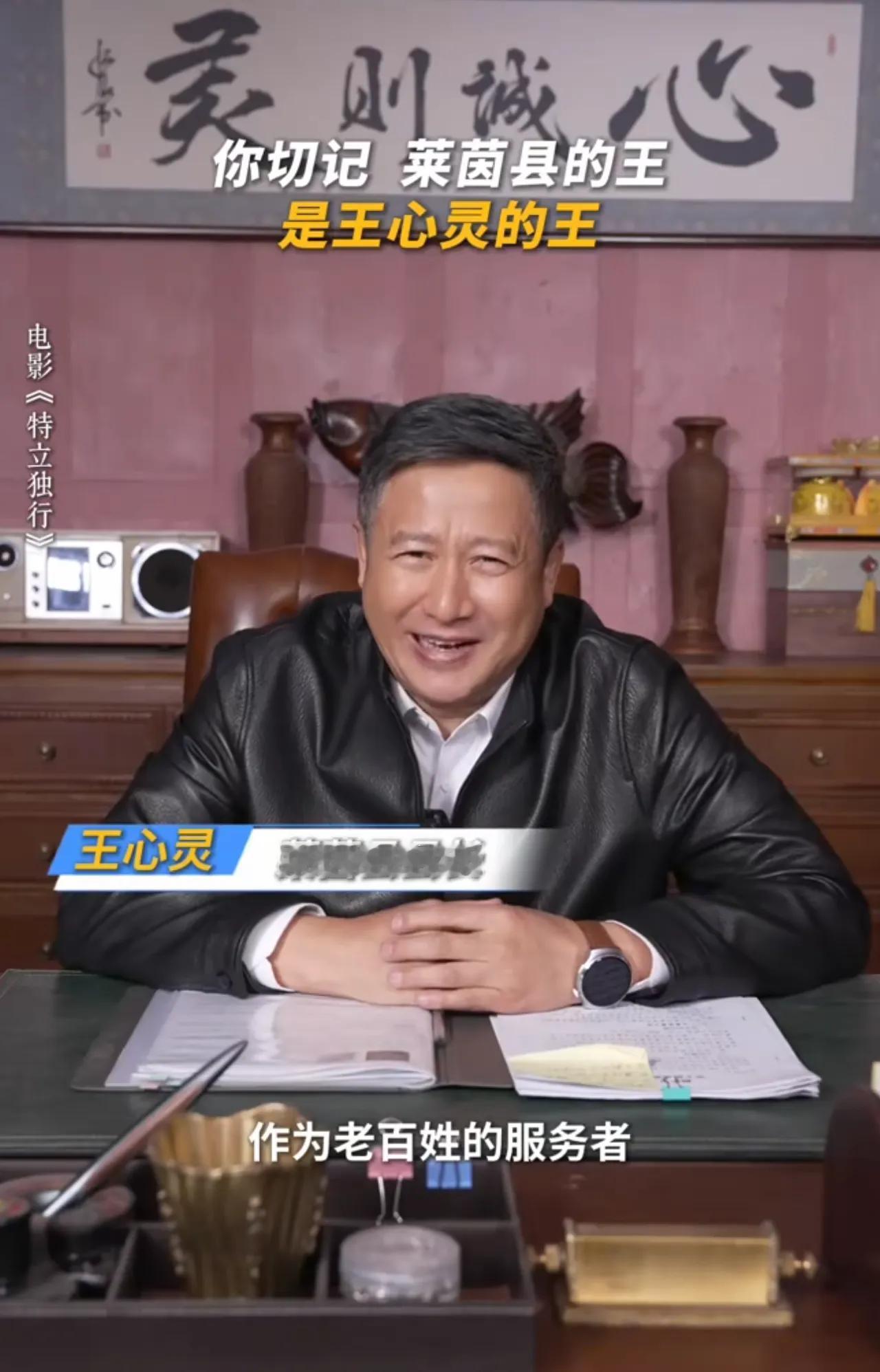 莱茵县长王心灵的座右铭是：“我到哪都要守好规矩！”
但他接着把身子往真皮座椅上一