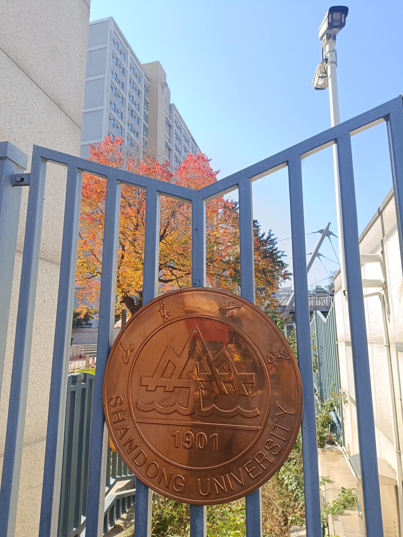 未来往后，我们想要追求内心的平静，就要设定自己的记分牌系统，只为自己认为重要的几