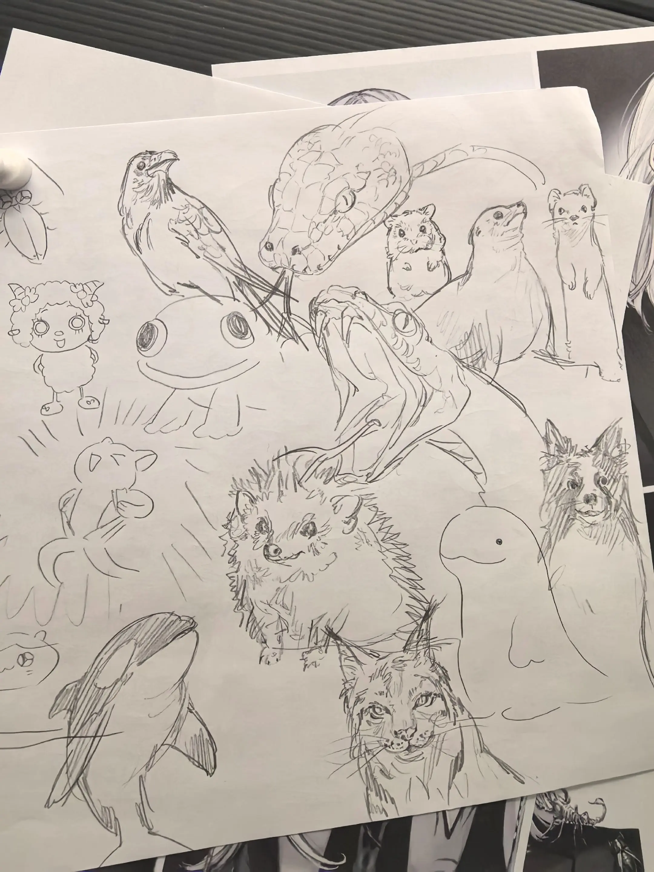 直播画的（？）