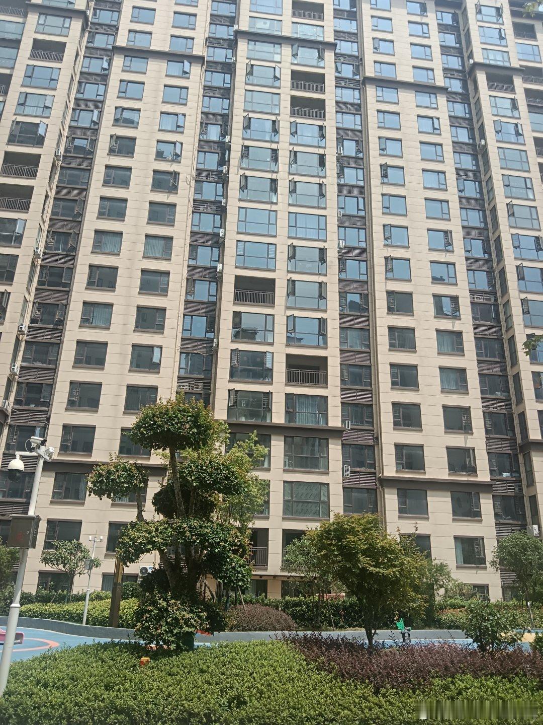 忙完回来，看看小娃。准备过几天去南阳，宣传传统文化。本来不想写的，看很多师兄比较