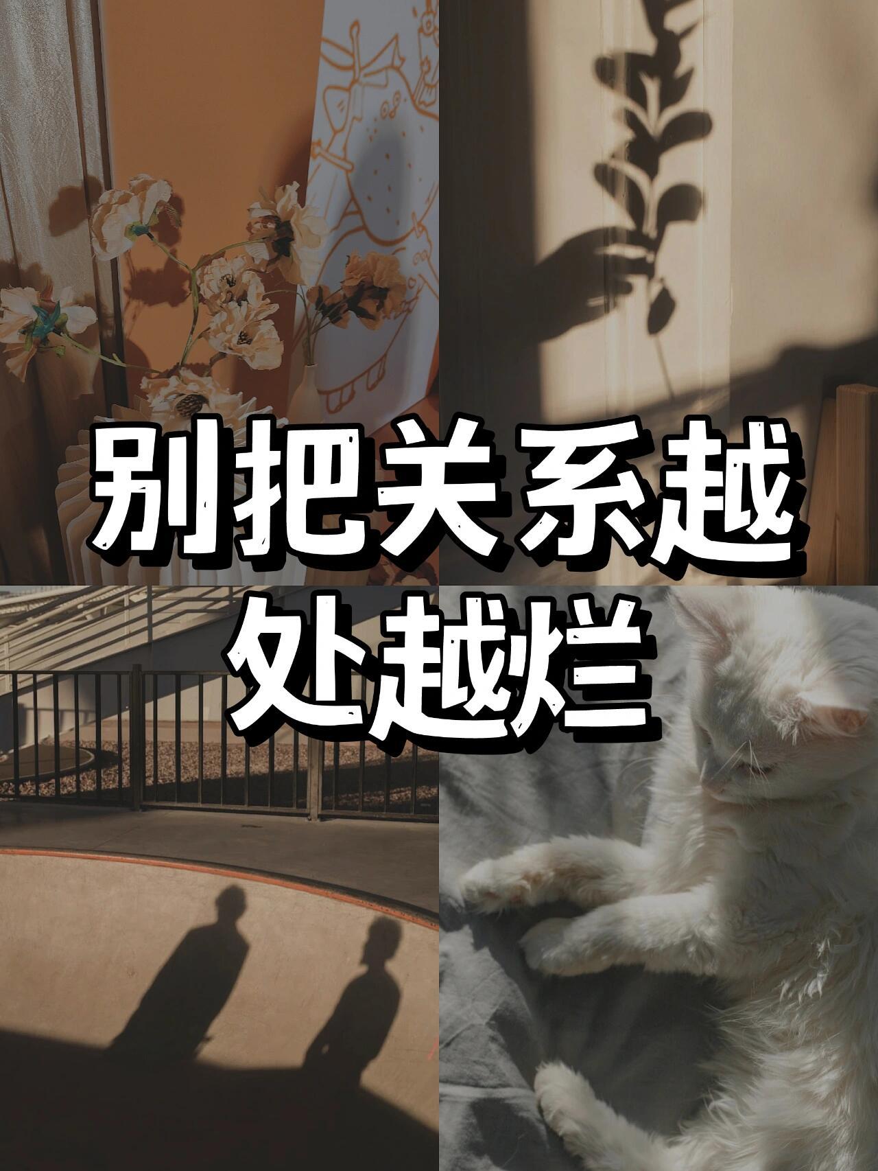 适合所有女孩子的交际飞升小tips你会不会注意到，有的女生就是情商高人缘好，不管