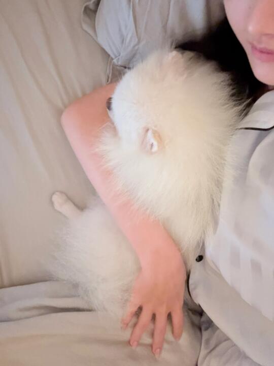 从今天开始我将给所有人好脸色