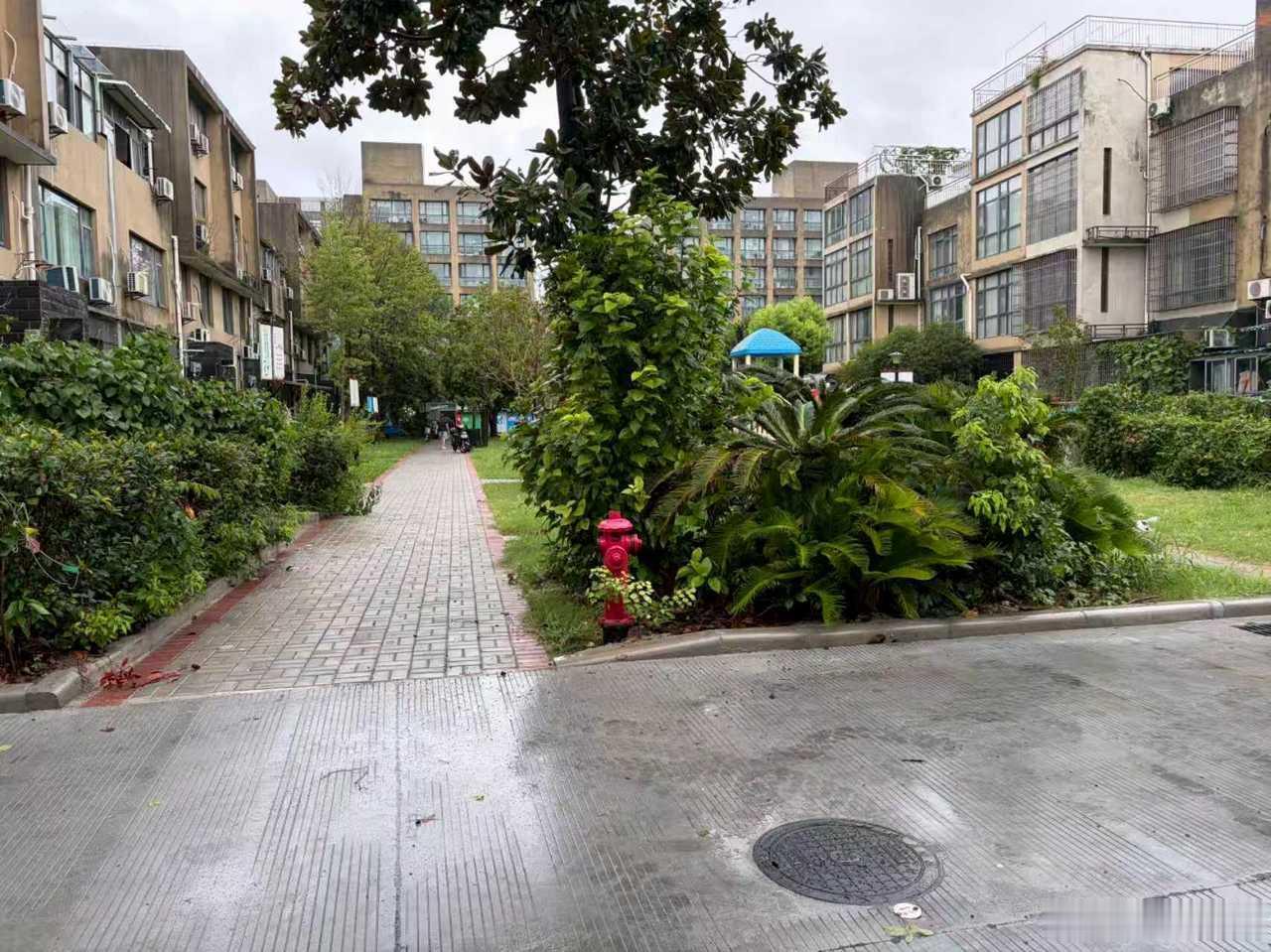 宁波老小区管网改造告别台风积水烦恼 鄞州区下应街道朝阳荟小区建成16年，地势偏低