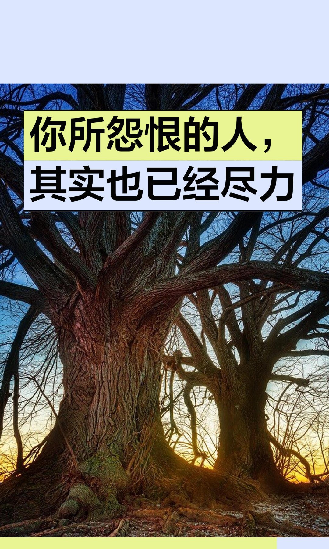 你所怨恨的人其实也已经尽力了你所怨恨的人，其实也已经尽力我们常因原生家庭或他人行