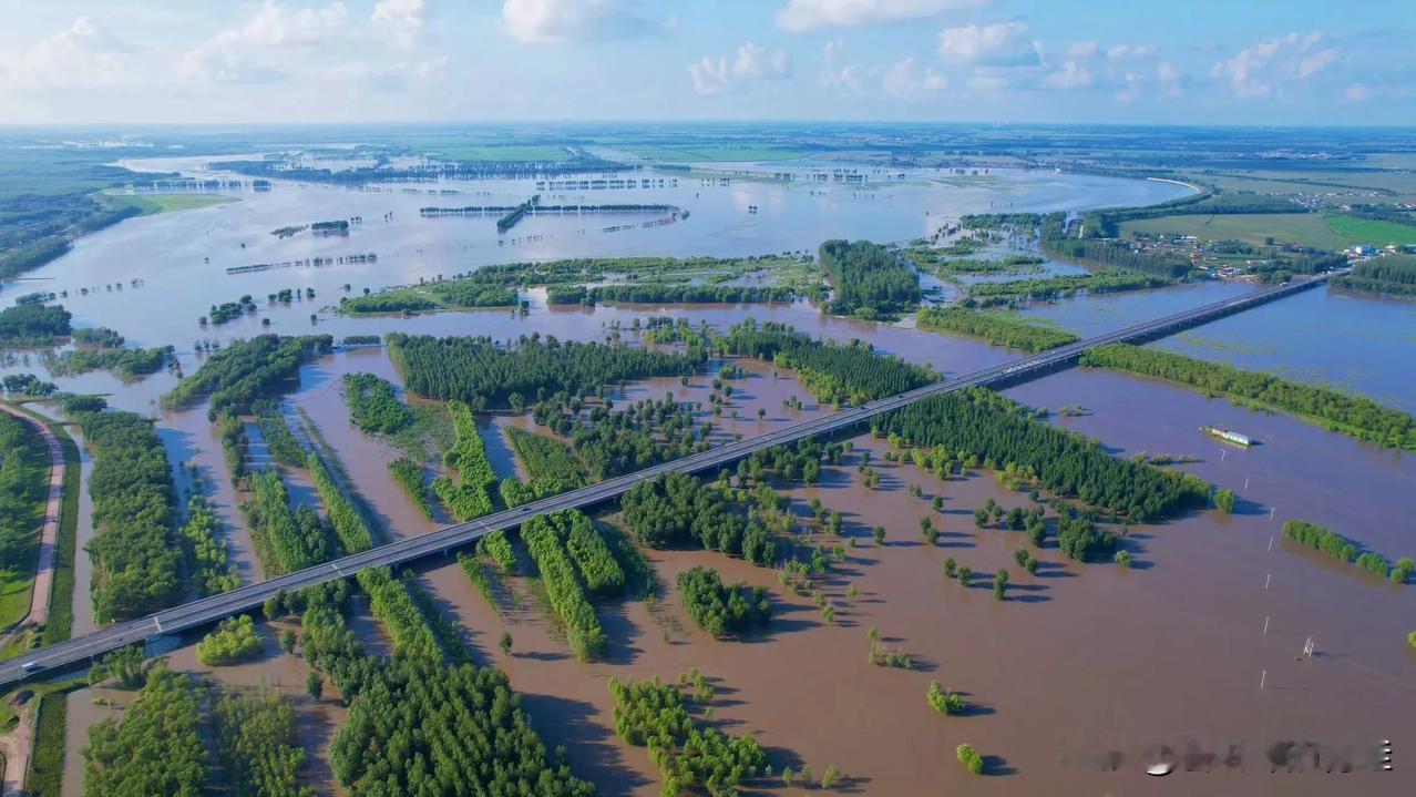 #2024随手拍#今年龙年，辽河降雨超乎寻常，这是辽河第一次洪峰通过通江口大桥时