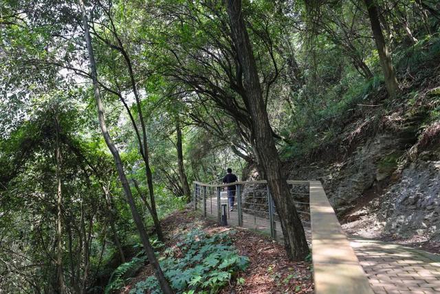 露营|露营野餐安排上！云岩有个藏在城市里的宝藏公园