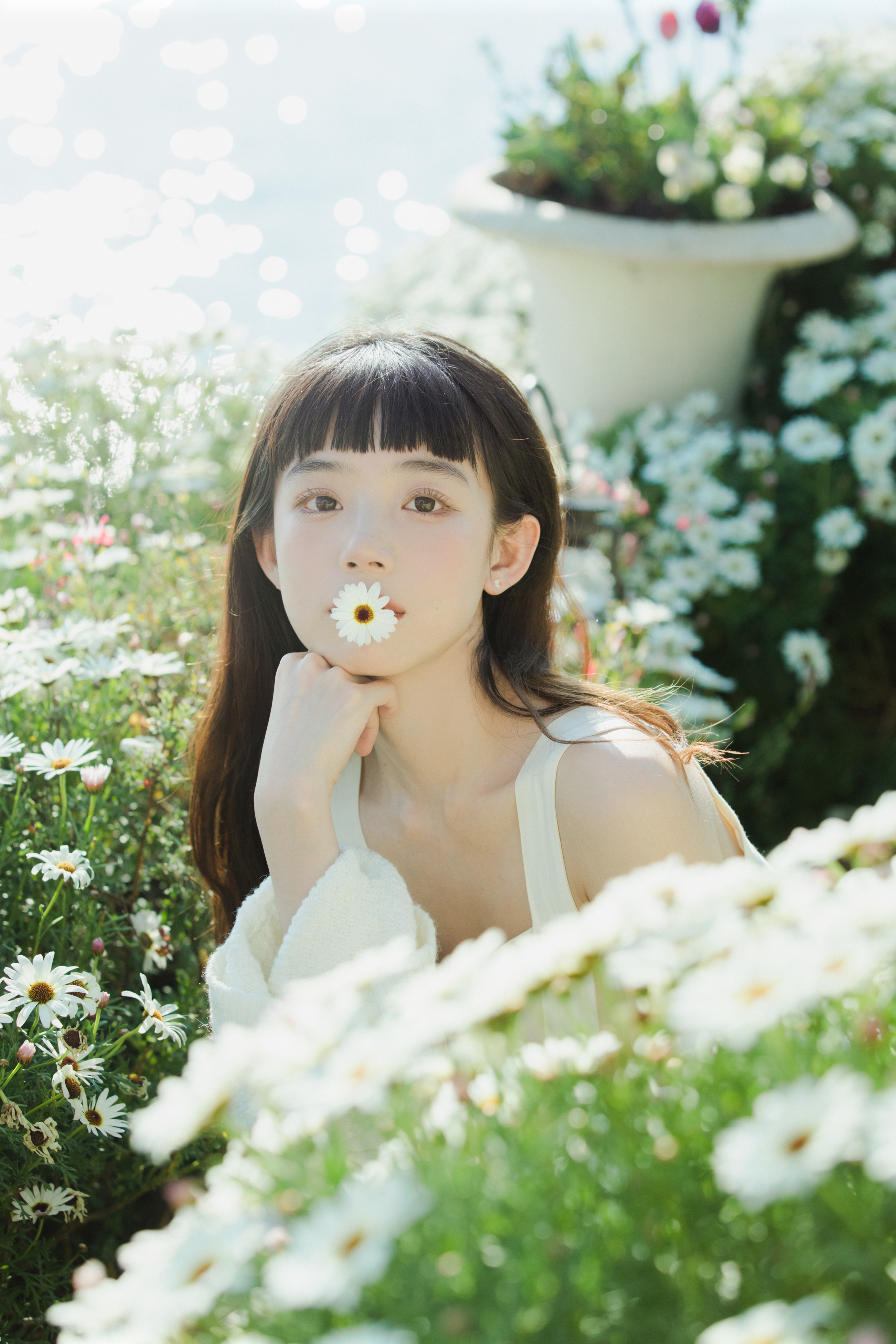 花与女孩📷 ​​​