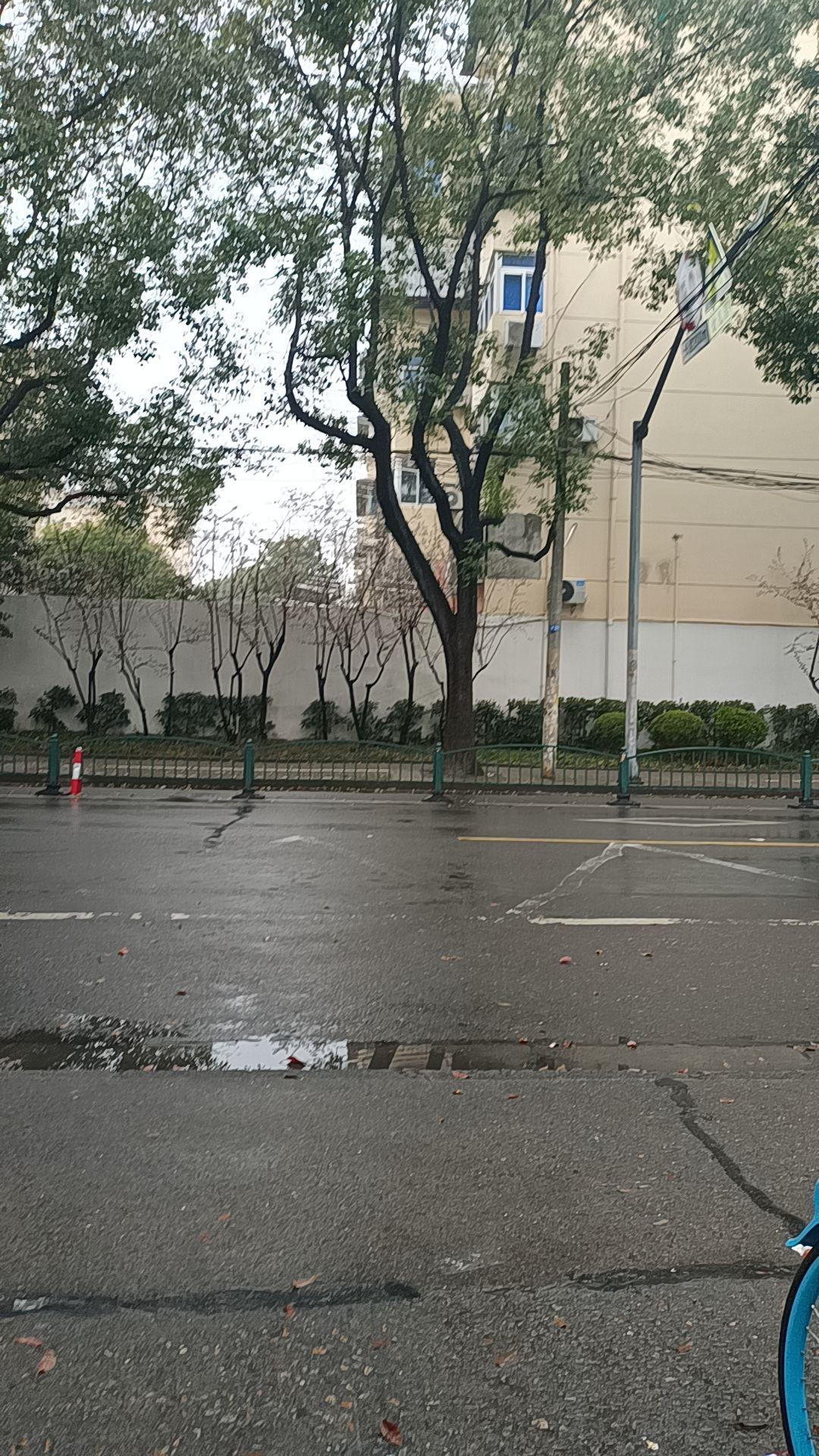 今天又下起雨来，出去溜的心情又打消了！今儿天气真魔幻