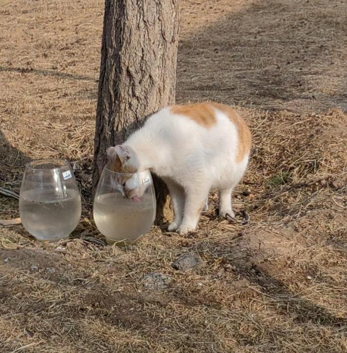 闫学晶道歉，“炫富哭穷”暂告一段落，本来想宣泄一下心中郁闷，究竟还是错了。
一个