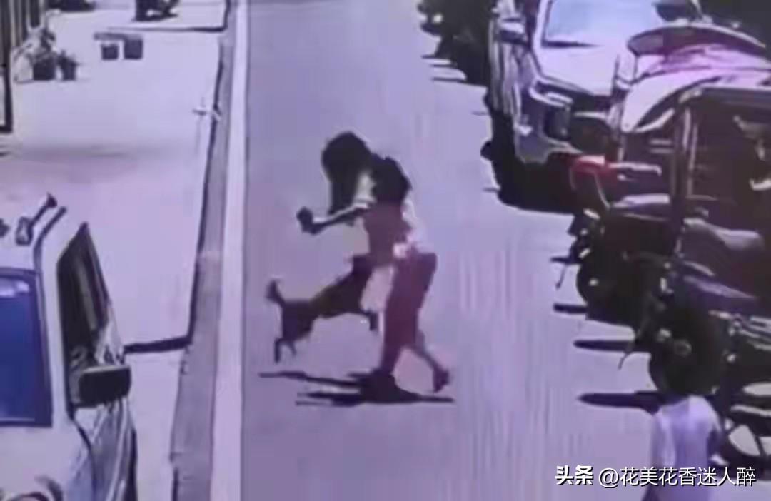 建议全城捕杀流浪狗，不栓绳的狗确保公共行人出行安全。