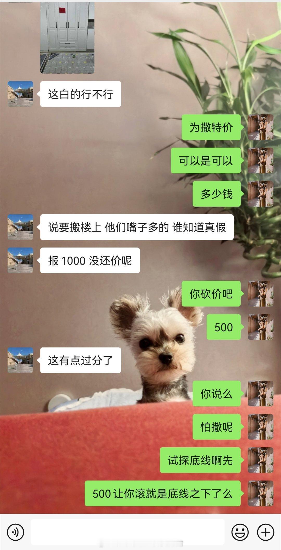 滚，是一个标杆[笑cry][笑cry][笑cry][笑cry][笑cry][笑c