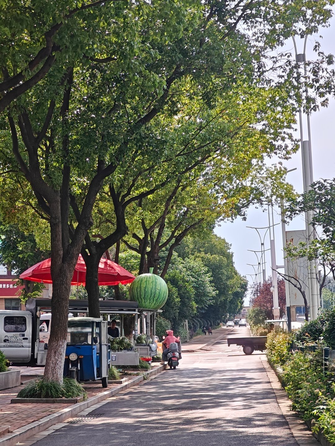 路过发现买西瓜的小摊发现有个大西瓜