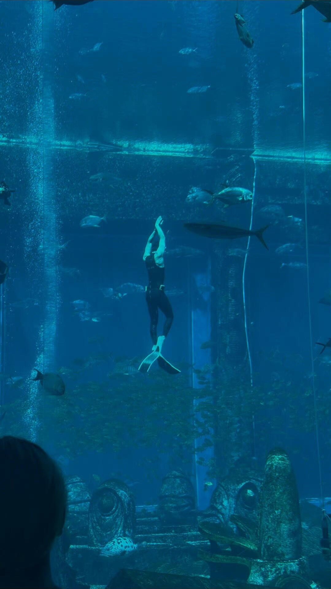 去海底当上龙王了水族馆的男美人鱼竟然是吴磊