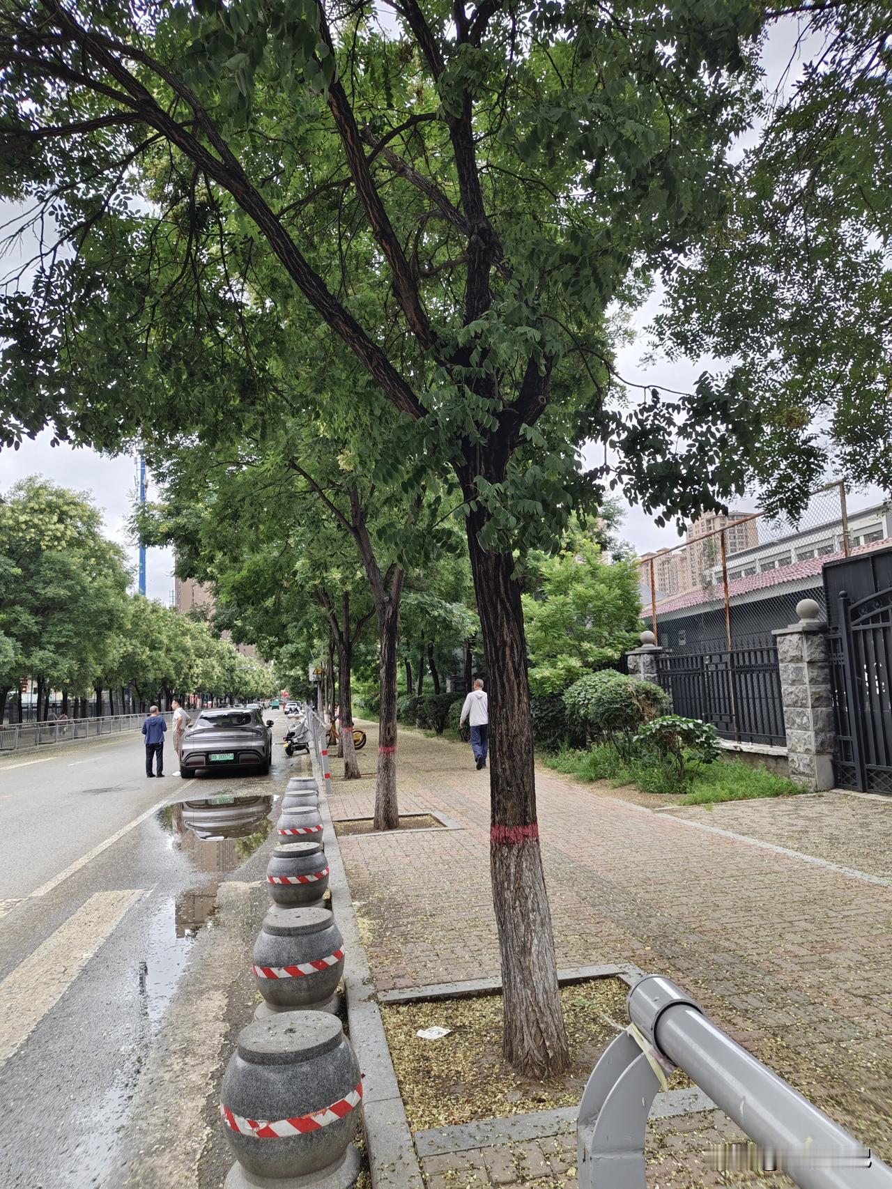 天气凉爽了一点点，虽然还是很闷热，但是有点透气的感觉秋日随拍图 哈哈猜猜我在哪 