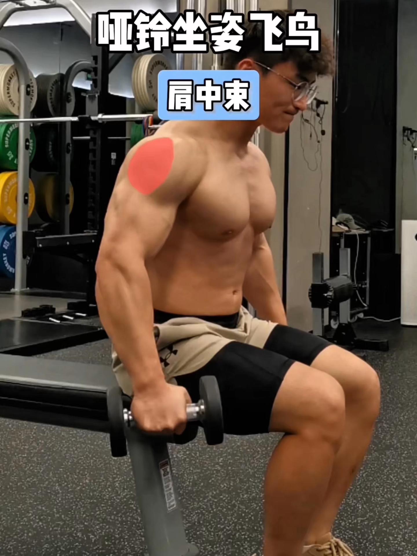 哑铃坐姿飞鸟，保姆级教程！ 一、目标肌群 哑铃坐姿飞鸟，肩中束 二、练...