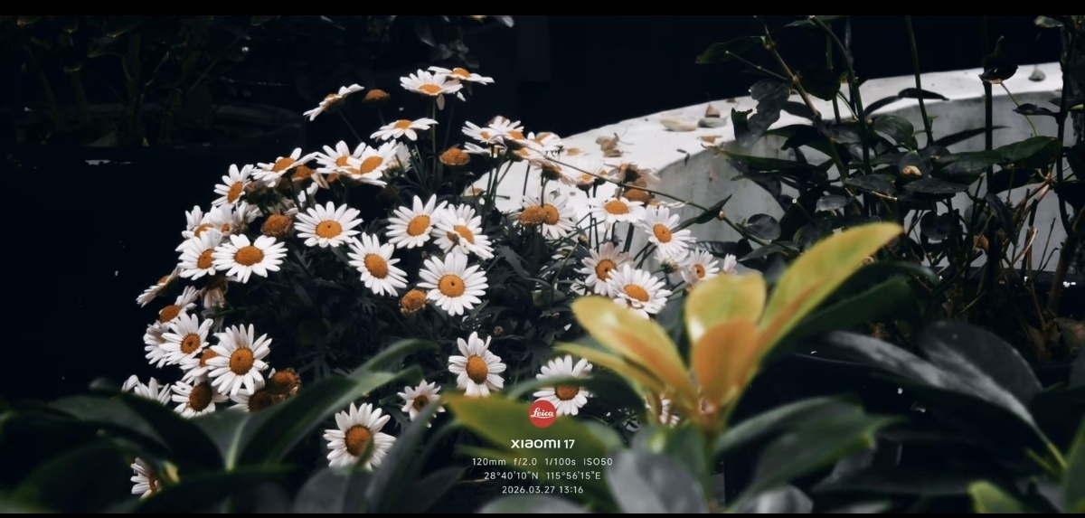 永远可以相信 小米手机的影调~小米科技