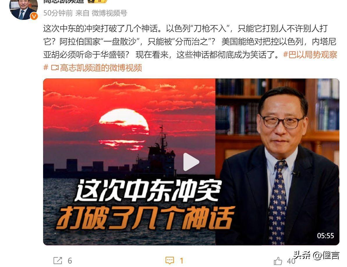 高志凯貌似睿智实则鸡贼，其实质还是一只肉喇叭。听他娓娓道来的所谓中东各种势力之间