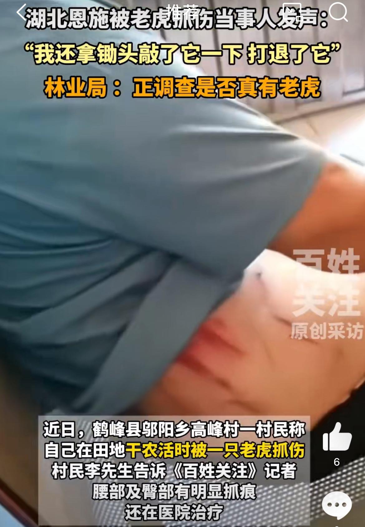 恩施一农民自称被老虎抓伤，是豹子的可能性很大。山林里面能伤人的大型野兽野猪、熊都