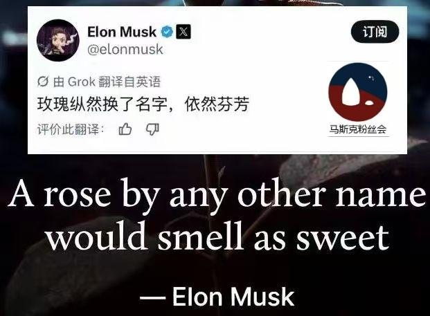 马斯克玩文化梗。
哈哈哈哈哈