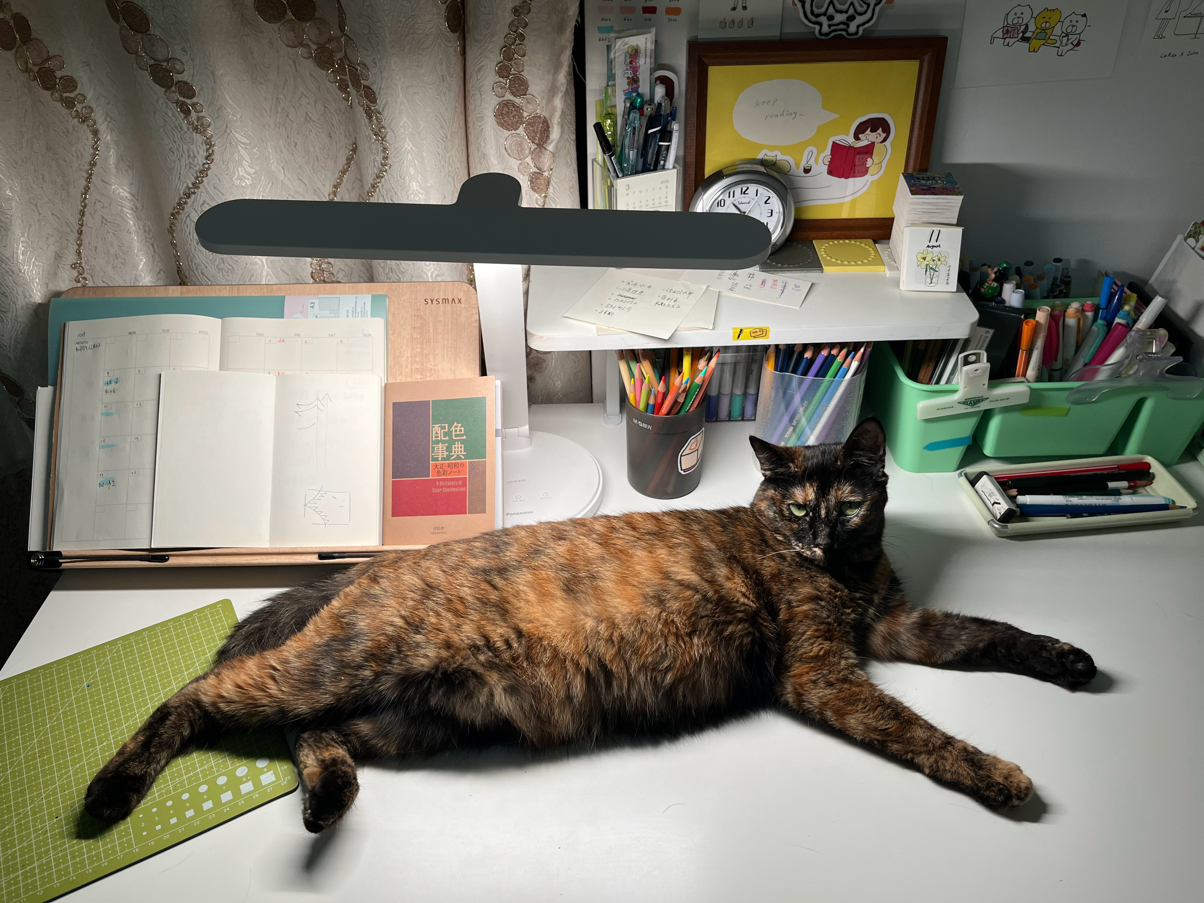 小猫咪想让人类休息今天就画到这里 