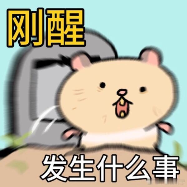 司晓迪到底是谁，一位网红知道这么多瓜。