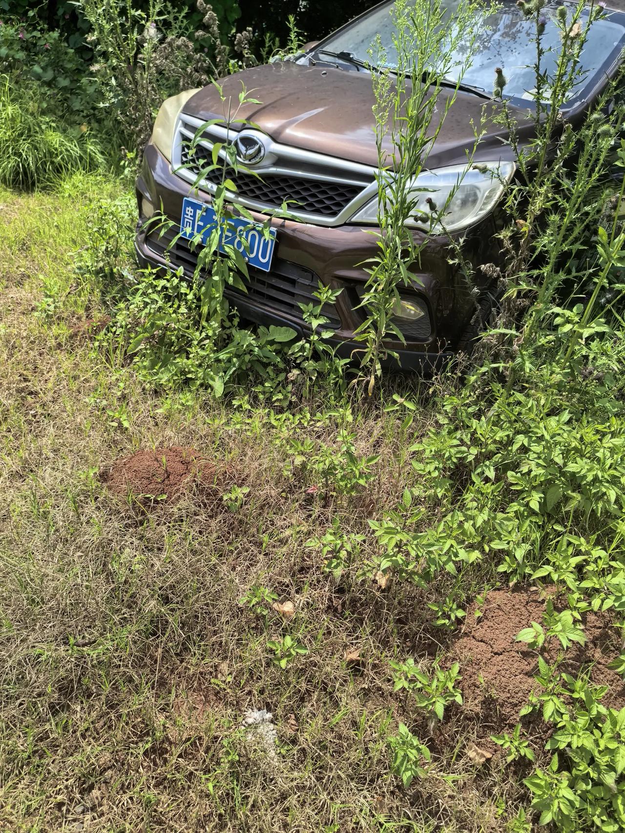这辆车不知道什么情况啊😦！，停在这个盛通街路上路两边都封了一两个月了，看样子怕
