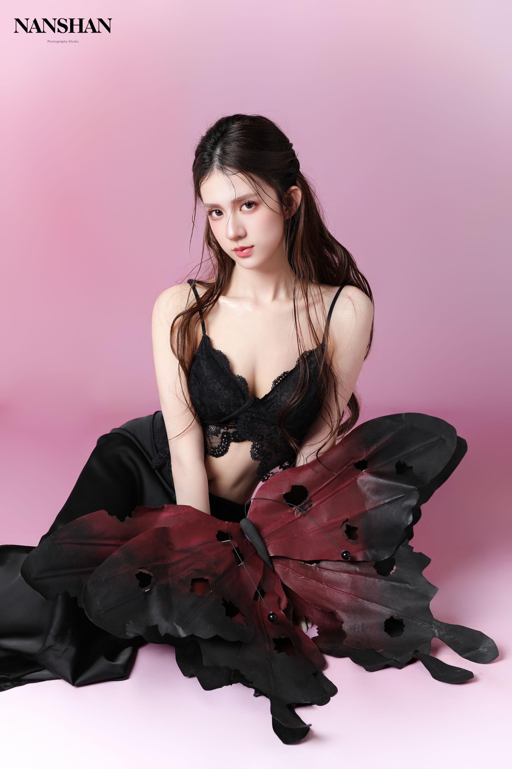 粉墨蝴蝶。