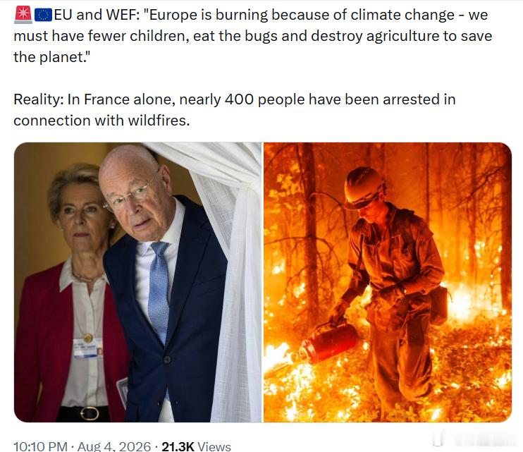 欧盟和世界经济论坛(WEF)：“欧洲正在因为气候变化而陷入火海——我们必须减少生