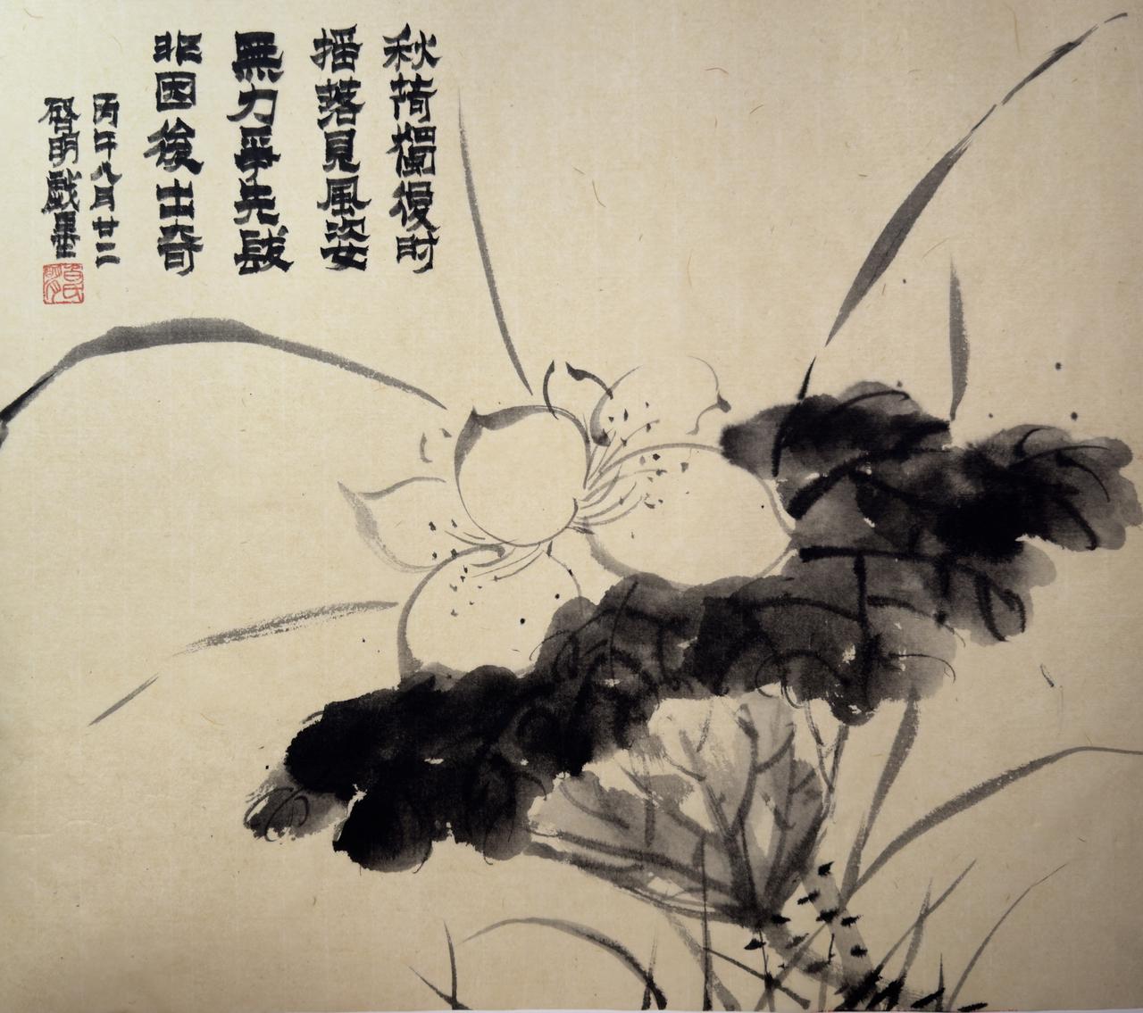国画荷花雅赏 荷墨书画 文人画韵 秋荷图 名家荷花作品临摹