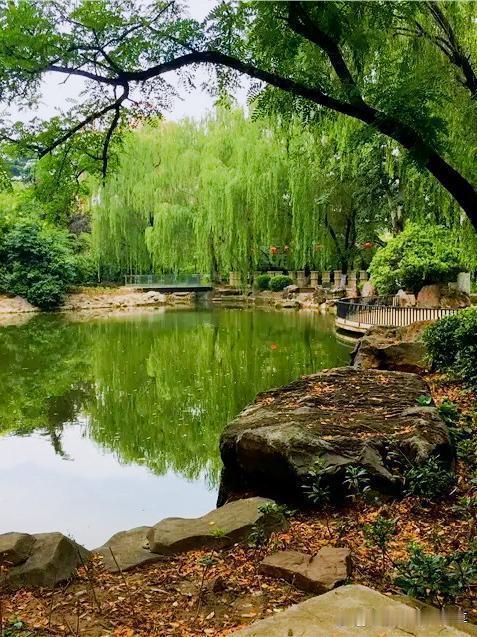 存钱和享受，其实没有绝对的好坏，关键在于平衡。只存钱不享受，生活会变得压抑无趣，