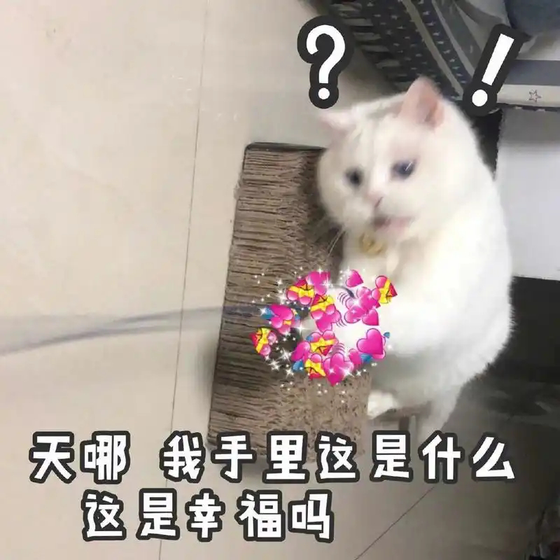 当有人问你不谈恋爱每天都在干什么工作，玩手机去，看剧，吃东西，很多事情可以干，谈