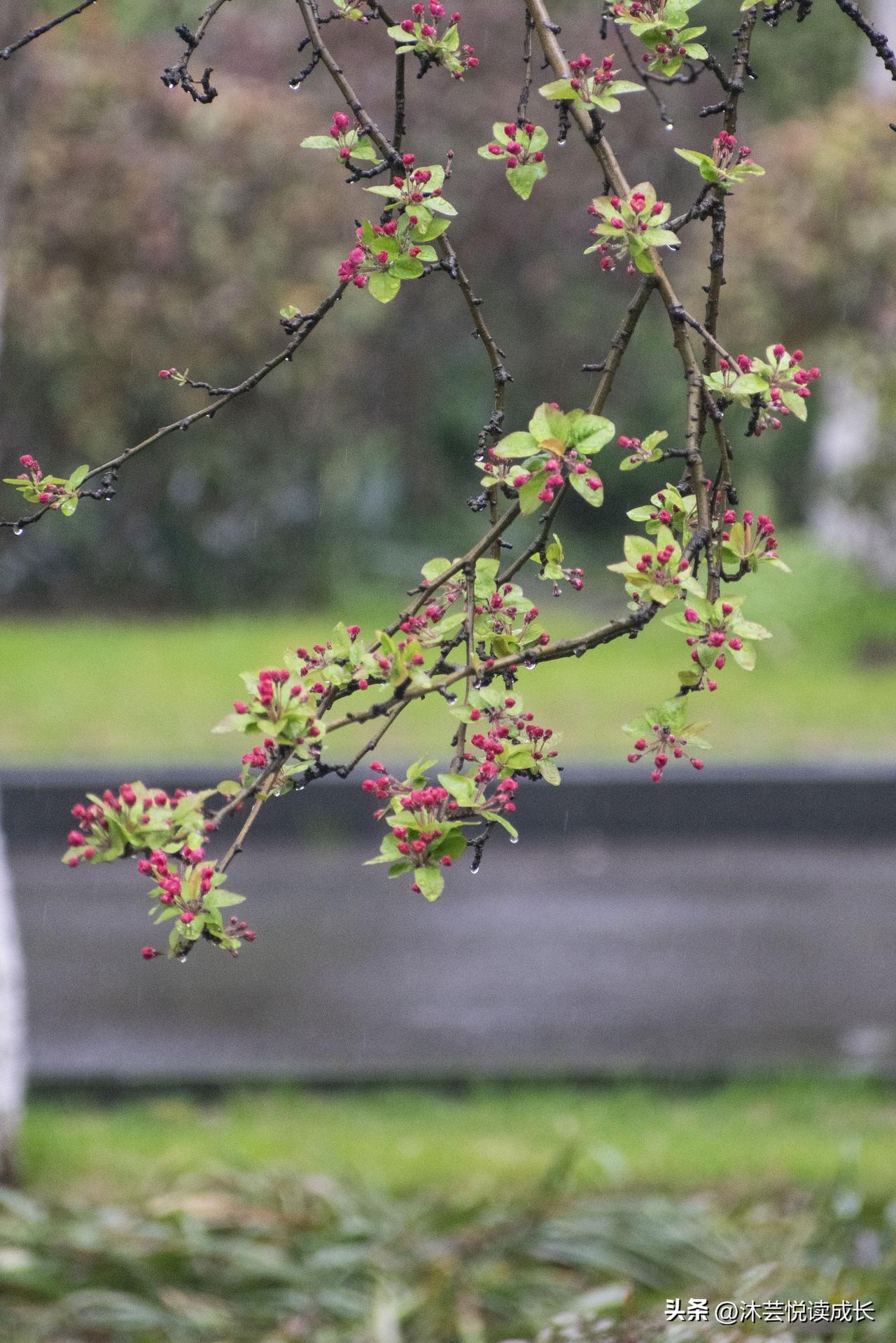 退休后，第一件要做的“叛逆”事
 
退休那天，我做了一个决定：不再做任何人的妻子