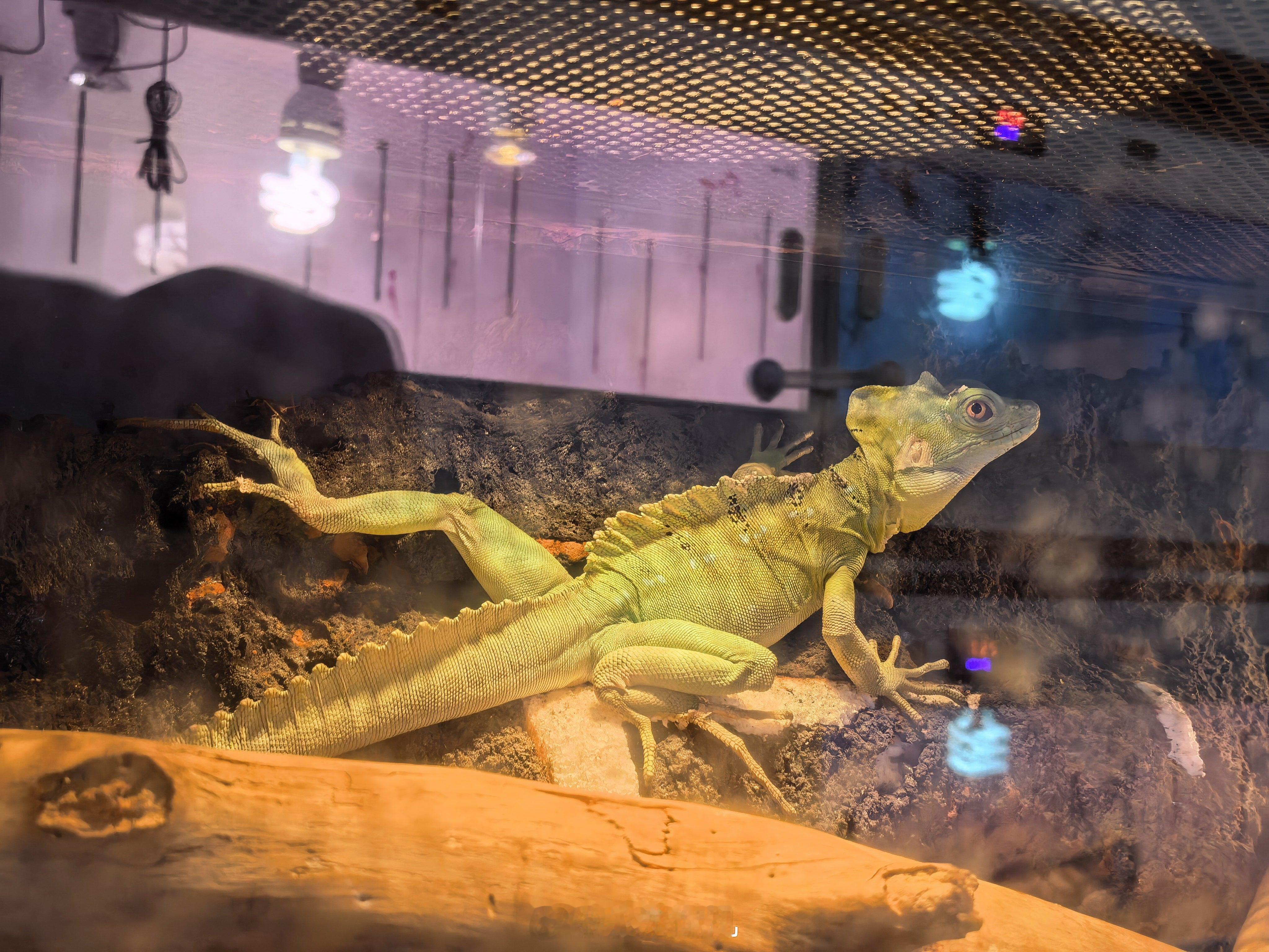 下午去拜访了一位老友，从认识就羡慕的现在，但最近可能过的并不快乐。我俩聊再开店干