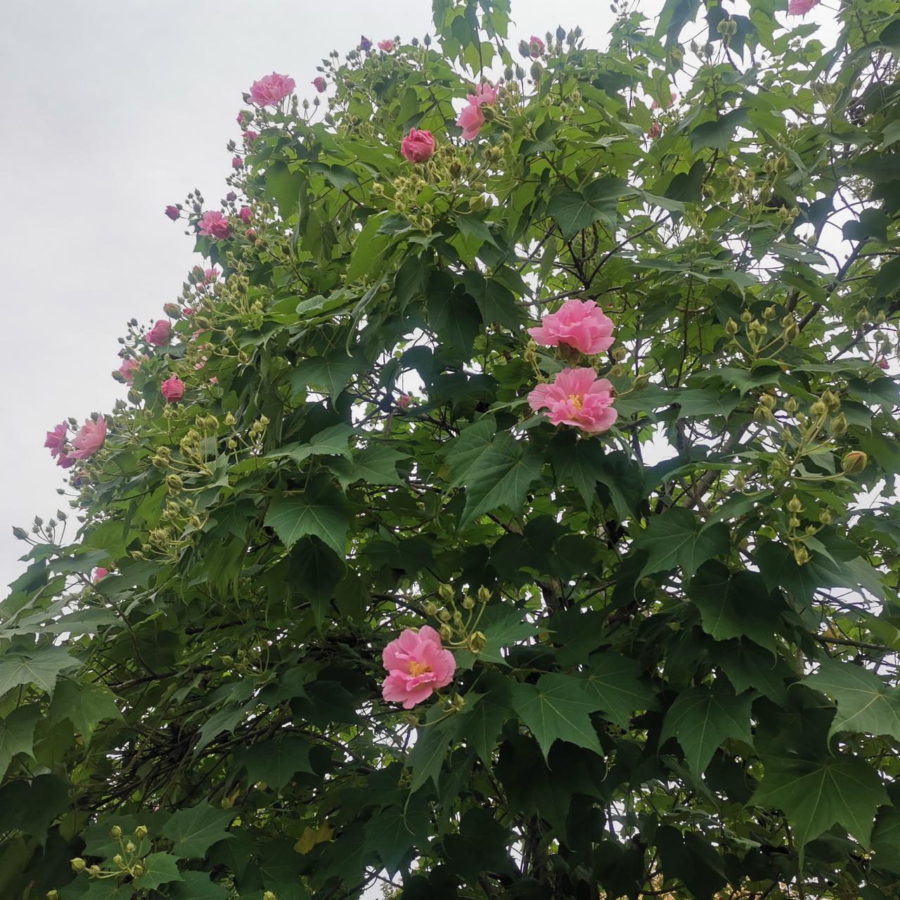 上世纪八九十年代企业里有一职务，考考大家是什么岗位：
出门像公子，乘车像兔子，进