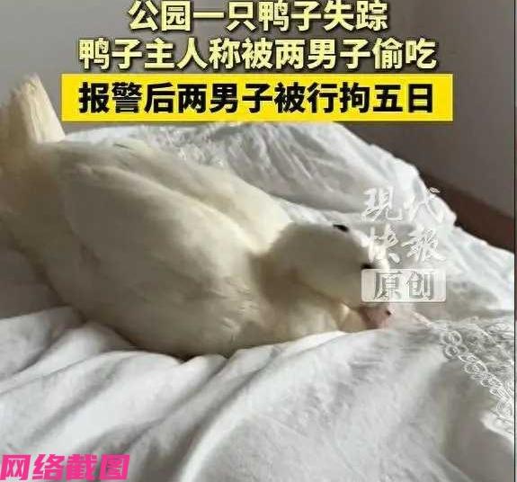 广东中山有两名男子在公园里，见得里有鸭子，看周边没人就心出歹意套鸭回家准备食用，