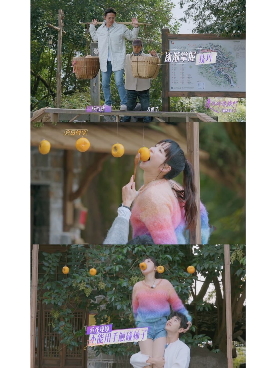 接力游戏，金莎的挑战最难，不能用手碰柿子