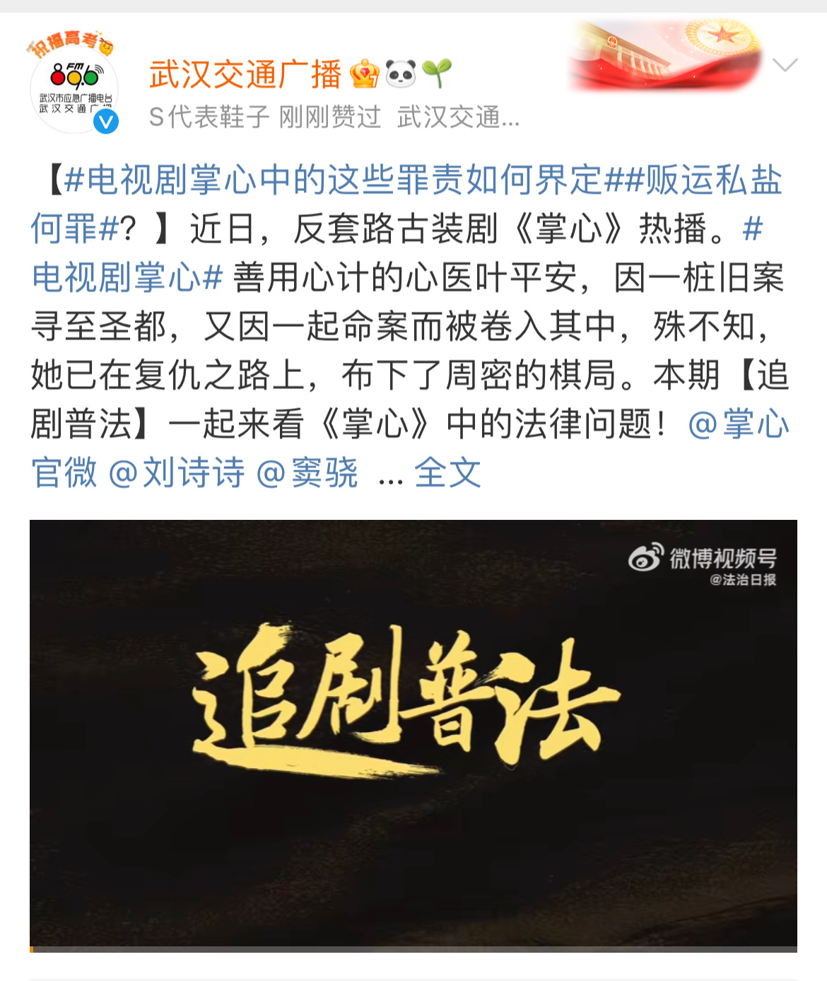 电视剧掌心中的这些罪责如何界定贩运私盐何罪   刘诗诗《掌心》后劲好🐮 白玉兰