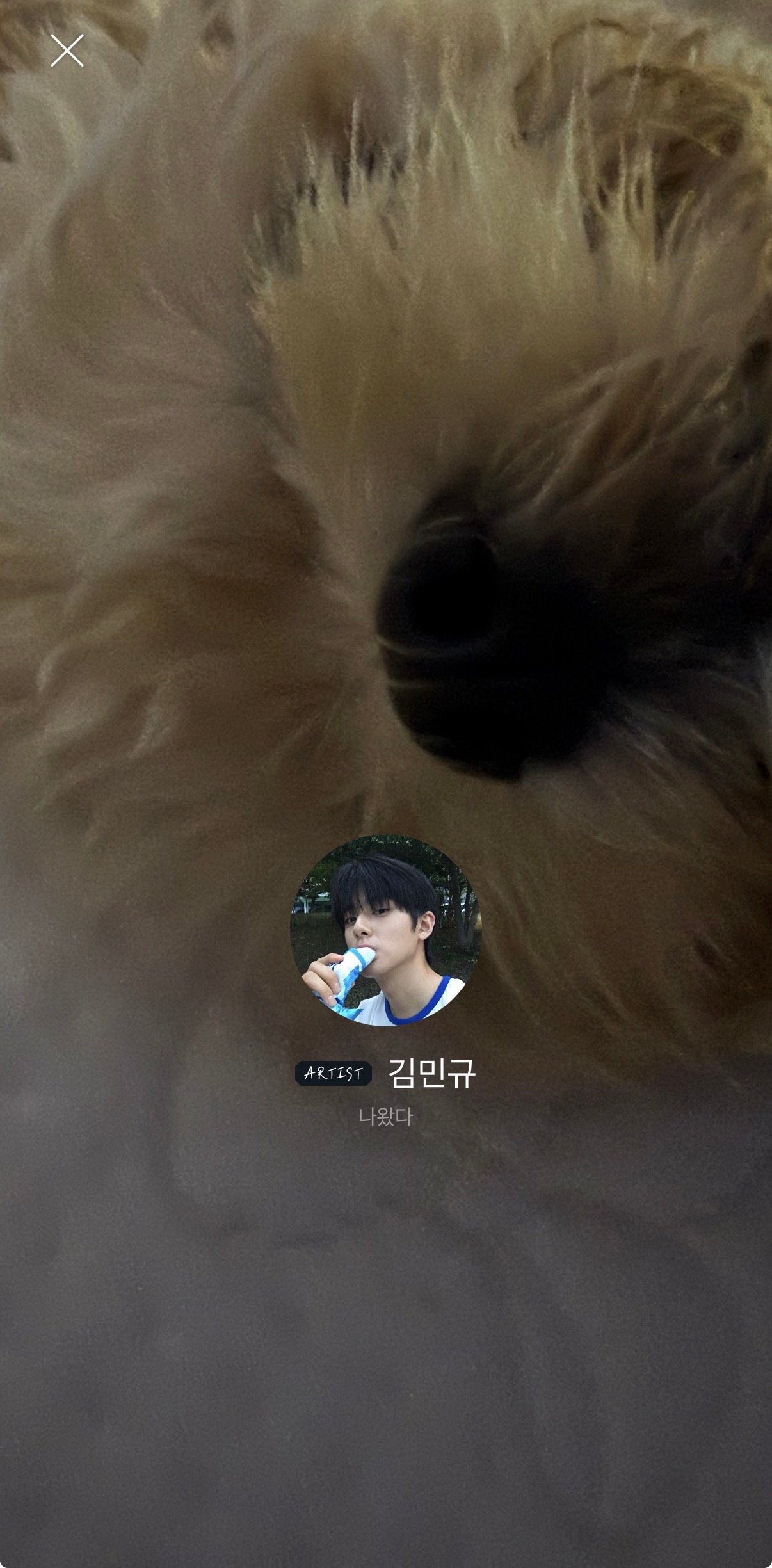 金旻奎Minkyu  260625【旻奎bubble】旻奎更换bubble头像?