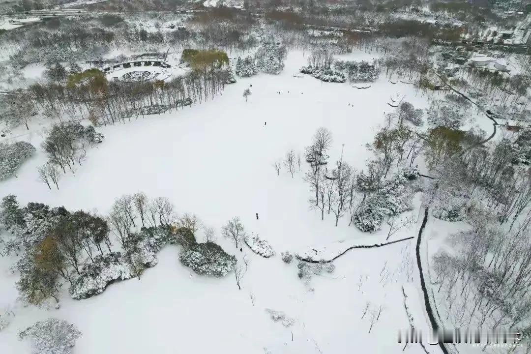 雪花飘飘迎新年

     郑州的冬天已近两个月没有雨、更无雪。
     刚刚