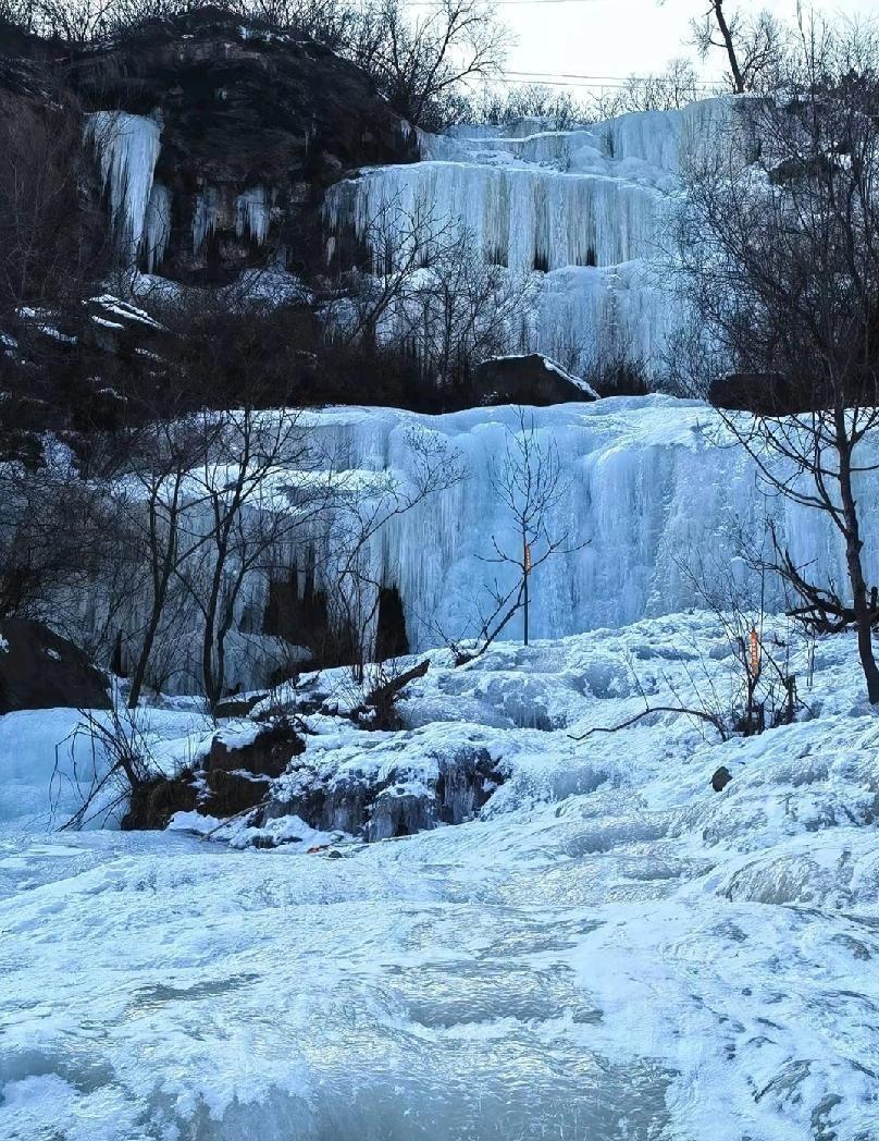 我把千元面霜换成十几块的凡士林，皮肤屏障竟然自己修好了。
别再折腾了。
你皮肤那