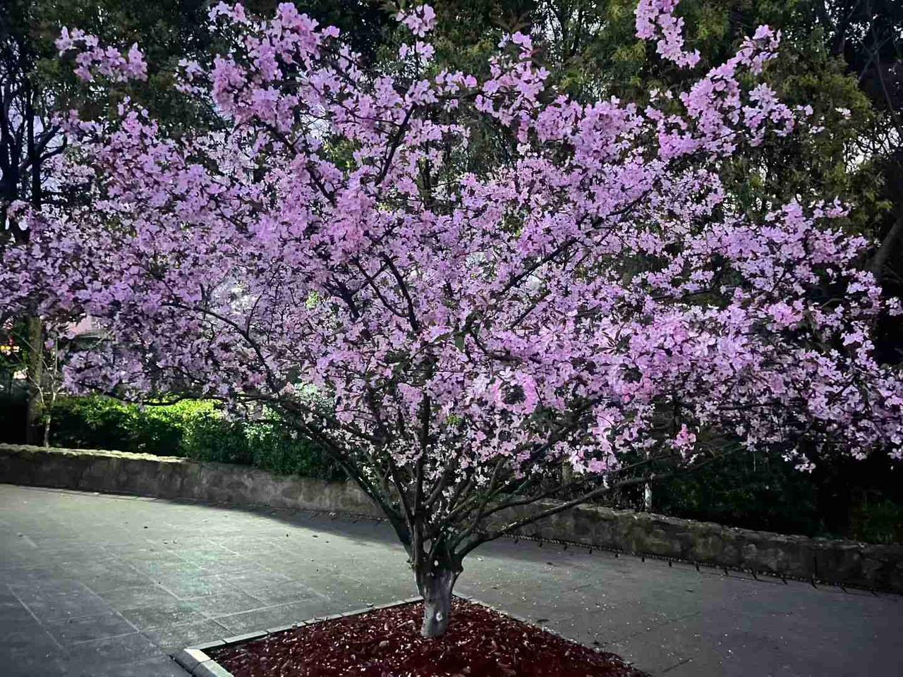 我的今日状态：💰期待暴富
我这里的天气：🌈雨过天晴