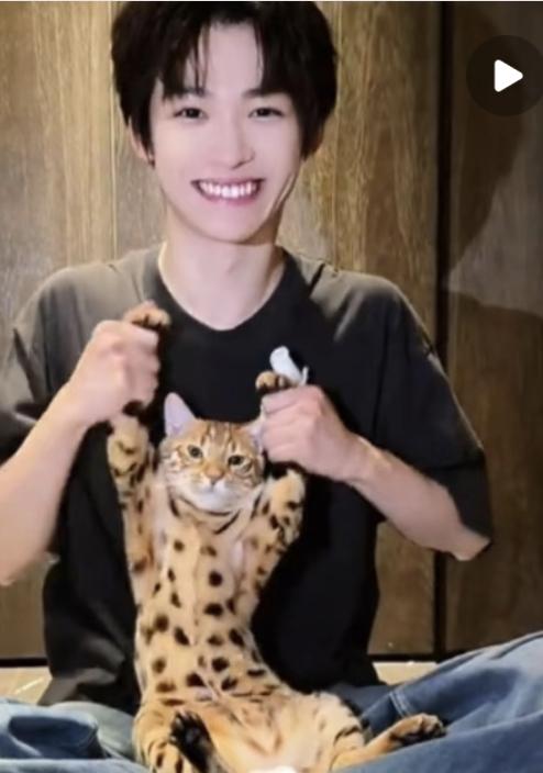 。。。。。。。 梓渝手受伤了