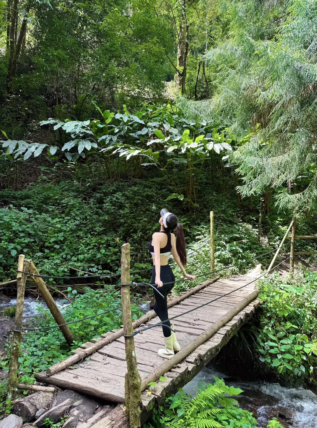 绿色能量场🧗🍃🌳