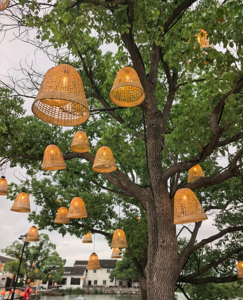 晴奶怎么天天在外面耍，这也太幸福了吧！ 