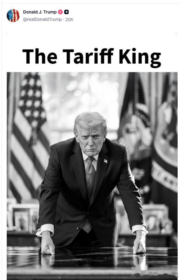 【黄金时代】川普称自己为关税之王THE TARIFF KING美国和欧洲当代史川
