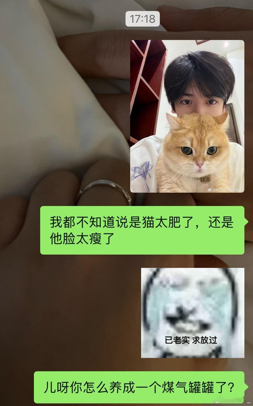 这伙食有点太好了吧正常这么金渐层最多也就10斤，看这个脸起码得12斤 