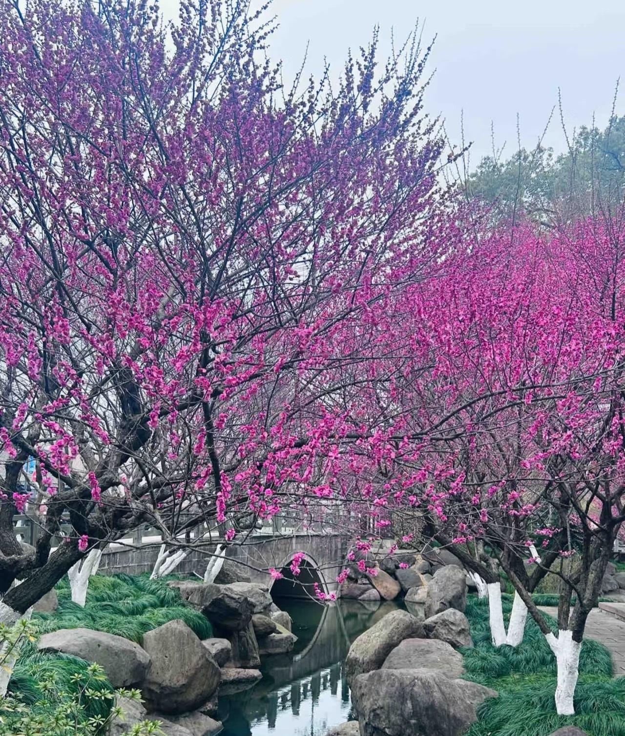 谁有花草照片，可以晒下吗