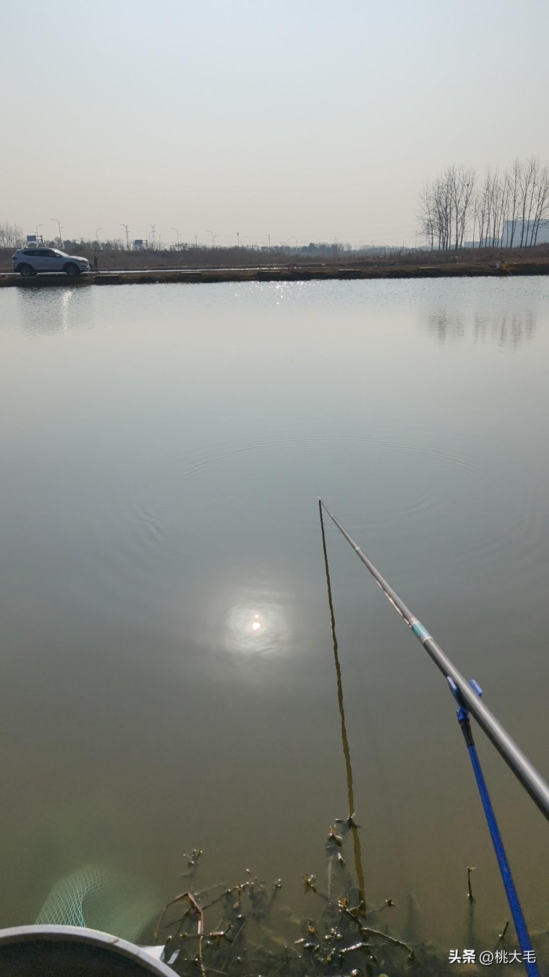 生意做成这样，也是无敌了。
这个鱼塘上任老板做的时候，生意红红火火的，每天基本都